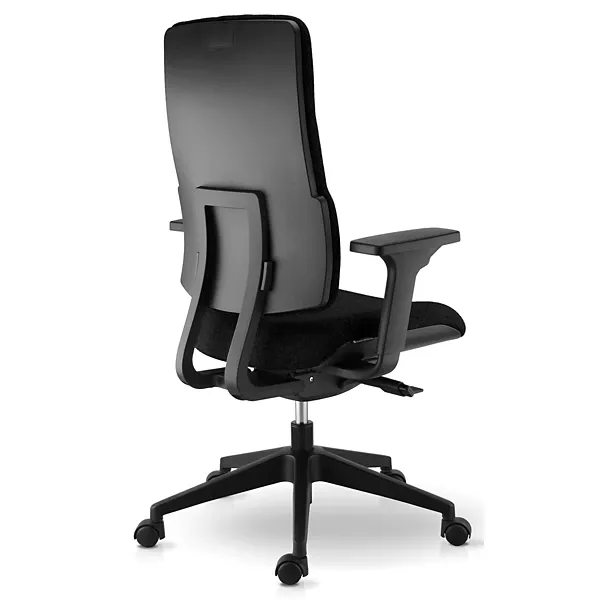 Siège de bureau ergonomique Ergos avec accoudoirs 3D Noir sophia mayotte 01.webp