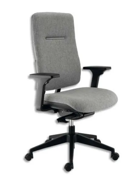 Siège de bureau ergonomique Ergos avec accoudoirs 3D Gris Sophia Mayotte.webp