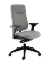 Siège de bureau ergonomique Ergos avec accoudoirs 3D Gris Sophia Mayotte.webp