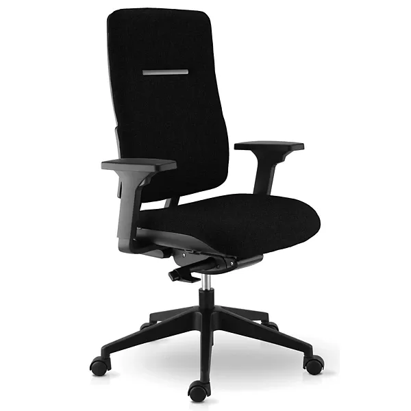 Siège de bureau ergonomique Ergos avec accoudoirs 3D Noir sophia mayotte 02.webp