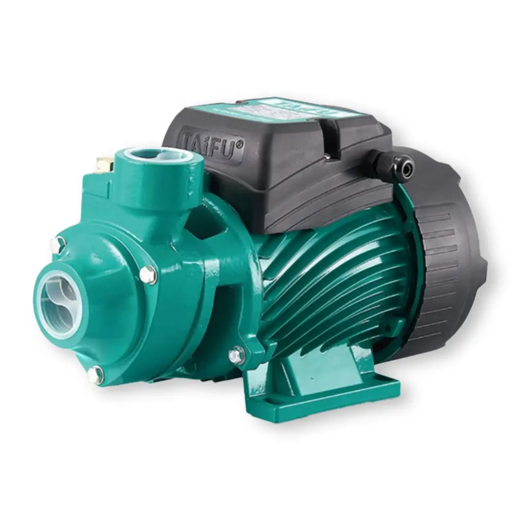 Pompe à eau verte TAIFU QB60