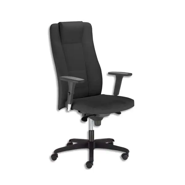 Fauteuil de direction Invitus en cuir avec accoudoirs 3D