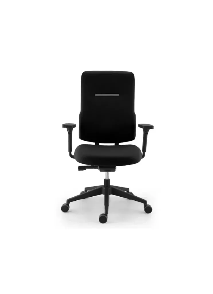 Siège de bureau ergonomique Ergos avec accoudoirs 3D