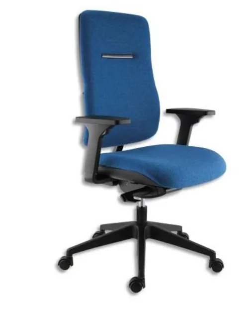 Siège de bureau ergonomique Ergos avec accoudoirs 3D